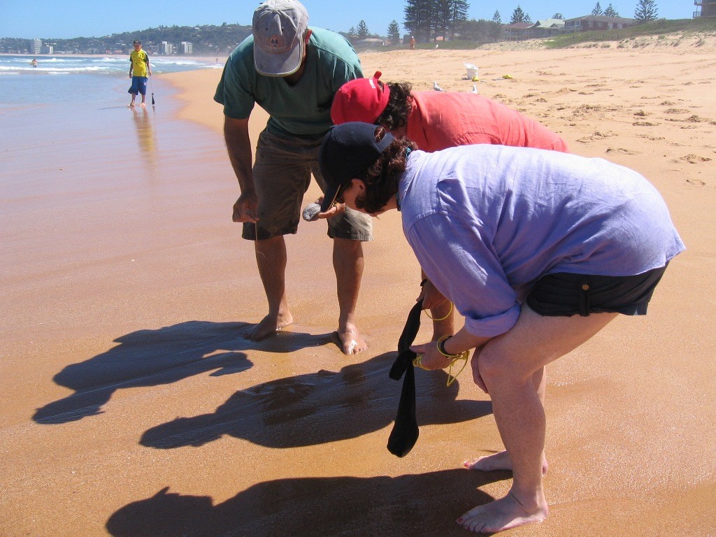 Alex Bellisimo from Rock and Beach Charters teaching a coulpe of clients the art of beach worming © Gary Brown
